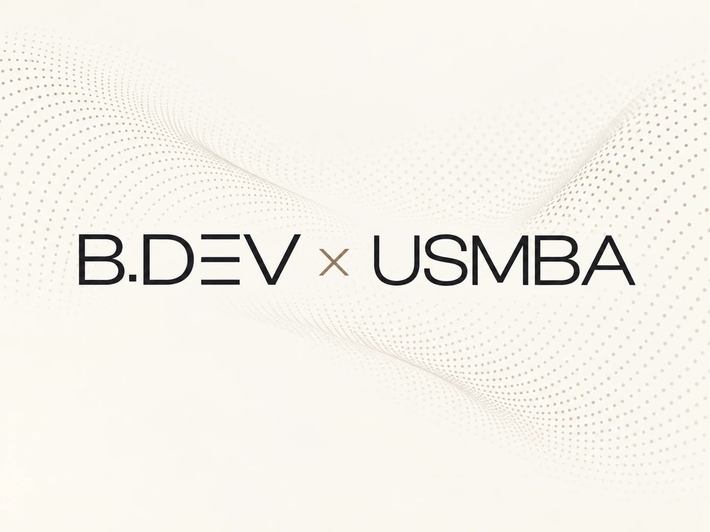 Identité visuelle B.DEV × USMBA du projet